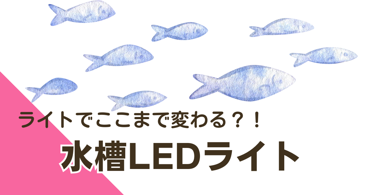 LEDライト