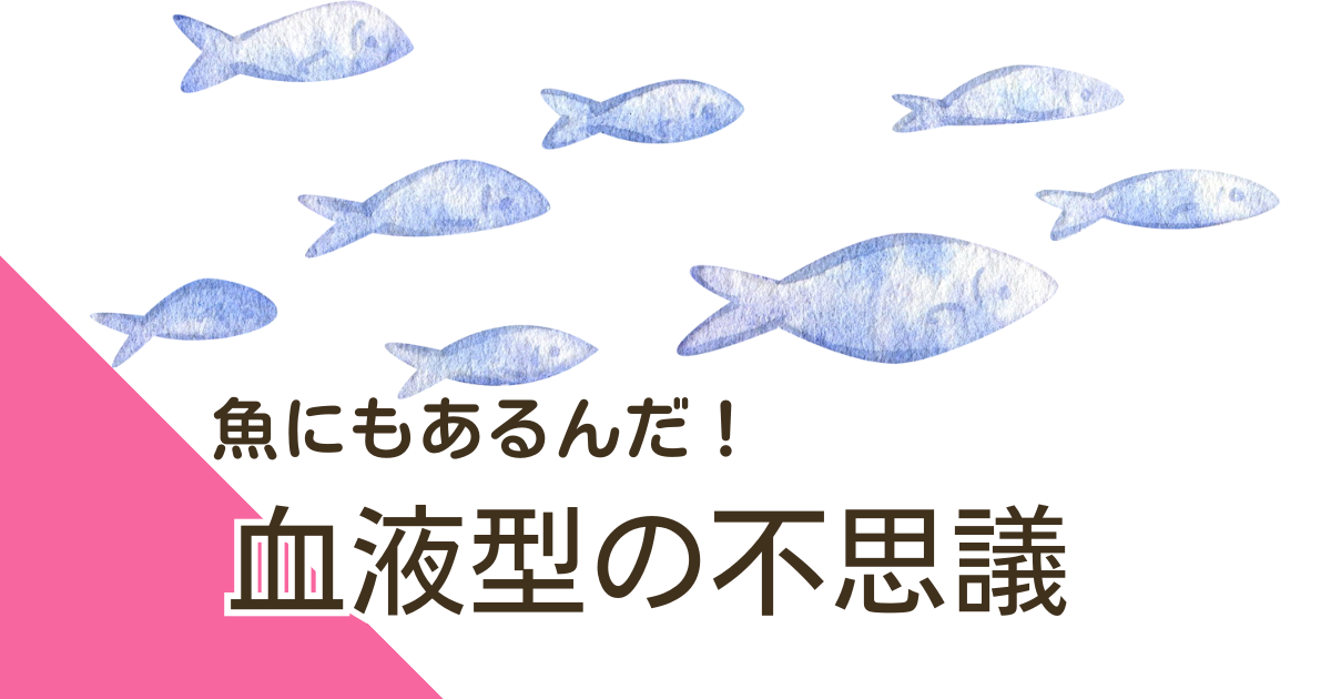 血液型の不思議